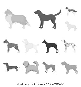 Dog breeds monochrome icons in set collection for design.Dog pet vector symbol stock web illustration.