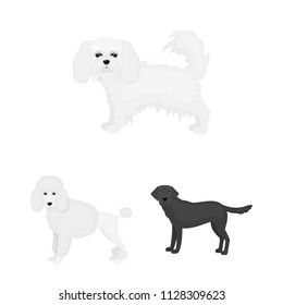 Dog breeds monochrome icons in set collection for design.Dog pet vector symbol stock web illustration.
