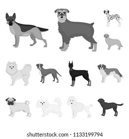 Dog breeds monochrome icons in set collection for design.Dog pet vector symbol stock web illustration.