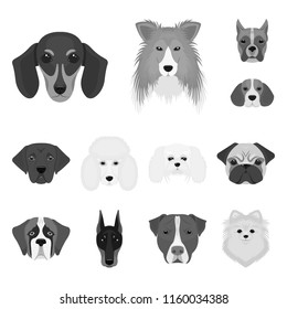 Dog breeds monochrome icons in set collection for design.Muzzle of a dog vector symbol stock web illustration.