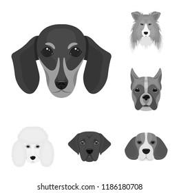 Dog breeds monochrome icons in set collection for design.Muzzle of a dog vector symbol stock web illustration.