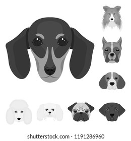 Dog breeds monochrome icons in set collection for design.Muzzle of a dog vector symbol stock web illustration.