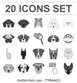 Dog breeds monochrome icons in set collection for design.Muzzle of a dog vector symbol stock web illustration.
