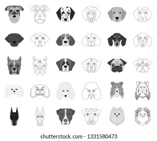 Dog breeds monochrome,outline icons in set collection for design.Muzzle of a dog vector symbol stock web illustration.