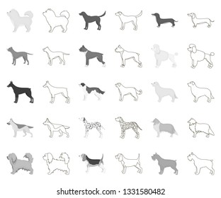 Dog breeds monochrome,outline icons in set collection for design.Dog pet vector symbol stock web illustration.