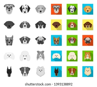 Dog breeds mono,flat icons in set collection for design.Muzzle of a dog vector symbol stock web illustration.