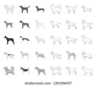 Dog breeds mono,outline icons in set collection for design.Dog pet vector symbol stock web illustration.