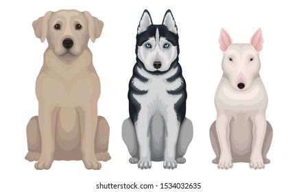 Dog Breeds. Muscular Isolated Canines Vector Set