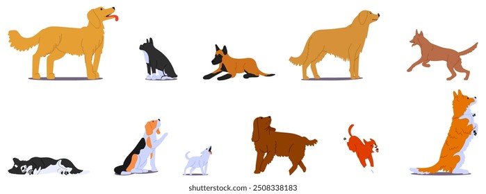 Dog Breeds Obeying Different Training Commands. Cartoon Pets Performing Actions Such As Sitting, Lying Down, Staying, And More, Showcasing Their Training And Obedience. Cartoon Vector Illustration