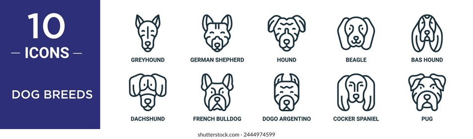 dog breeds outline icon set includes thin line greyhound, german shepherd, hound, beagle, bas hound, dachshund, french bulldog icons for report, presentation, diagram, web design