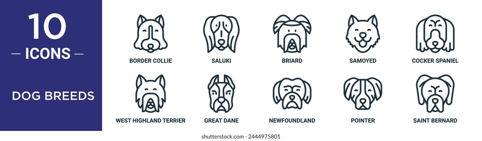 dog breeds outline icon set includes thin line border collie, saluki, briard, samoyed, cocker spaniel, west highland terrier, great dane icons for report, presentation, diagram, web design