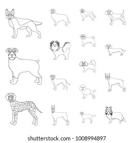 Dog breeds outline icons in set collection for design.Dog pet vector symbol stock web illustration.