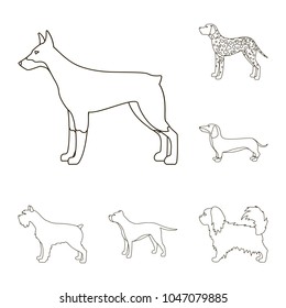 Dog breeds outline icons in set collection for design.Dog pet vector symbol stock web illustration.