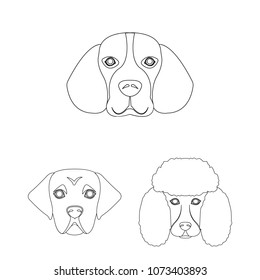 Dog breeds outline icons in set collection for design.Muzzle of a dog vector symbol stock web illustration.