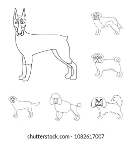Dog breeds outline icons in set collection for design.Dog pet vector symbol stock web illustration.