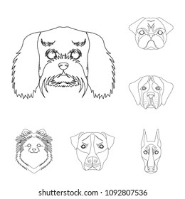 Dog breeds outline icons in set collection for design.Muzzle of a dog vector symbol stock web illustration.