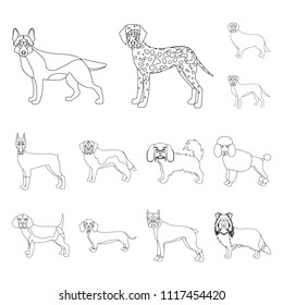 Dog breeds outline icons in set collection for design.Dog pet vector symbol stock web illustration.