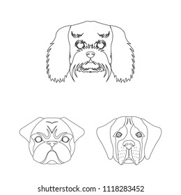 Dog breeds outline icons in set collection for design.Muzzle of a dog vector symbol stock web illustration.