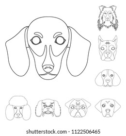 Dog breeds outline icons in set collection for design.Muzzle of a dog vector symbol stock web illustration.