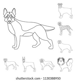 Dog breeds outline icons in set collection for design.Dog pet vector symbol stock web illustration.