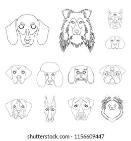 Dog breeds outline icons in set collection for design.Muzzle of a dog vector symbol stock web illustration.