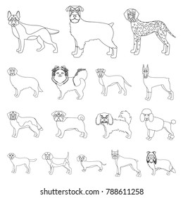 Dog breeds outline icons in set collection for design.Dog pet vector symbol stock web illustration.