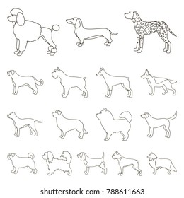 Dog breeds outline icons in set collection for design.Dog pet vector symbol stock web illustration.