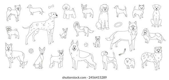 Dog breeds outline illustration for coloring book. Bichon frise, shiba inu, australian shepherd, basenji and many more pets isolated on white background in vector