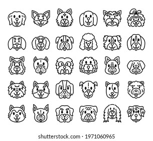 228 Rottweiler Akita Images, Stock Photos & Vectors | Shutterstock