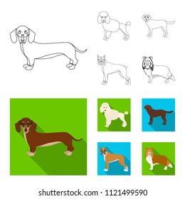 Dog breeds outline,flat icons in set collection for design.Dog pet vector symbol stock web illustration.