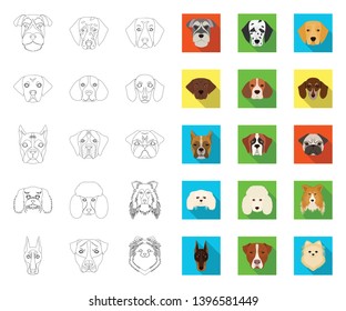 Dog breeds outline,flat icons in set collection  design.Muzzle  a dog vector symbol stock web illustration.