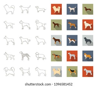 Dog breeds outline,flat icons in set collection  design.Dog pet vector symbol stock web illustration.