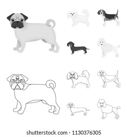 Dog breeds outline,monochrome icons in set collection for design.Dog pet vector symbol stock web illustration.