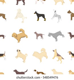 Dog breeds pattern icons in cartoon style. Big collection dog breeds vector symbol stock illustration