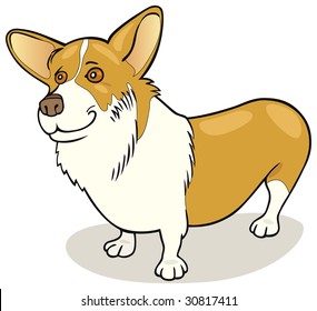 Dog breeds: Pembroke Welsh Corgi