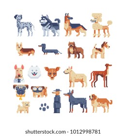 Dog breeds. Pixel art 80s style icons. Stickers and embroidery design. Video game sprite. Logo design template for pet shops,  veterinary clinics and animal shelters homeless. Vector illustration.