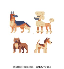 Dog breeds. Pixel art icons set. Logo pet shop. Stickers and embroidery design. German shepherd and poodle. Game assets. Isolated vector illustration. 