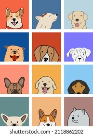 Dog breeds portraits set. Colorful dog graphic, corgi, labrador, golden retriever, beagle, boxer, bulldog, doxie, dachshund, chihuahua, samoyed funny illustration. Doodles style. Dog smiling face.