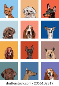 Dog breeds portraits set. Colorful dog graphic. Basenji, Canaan Dog, Irish Setter, Basset Hound, English Toy Terrier, Сoton de tulear maltese, Whippet, Griffon illustration. Doodles style. Dog face.