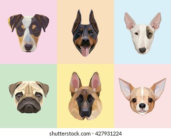 Dog breeds portraits vector illustrations in modern geometric style isolated on colorful light backgrounds. Jack Russell, Doberman, Bull terrier, Pug, German Shepherd and Chihuahua