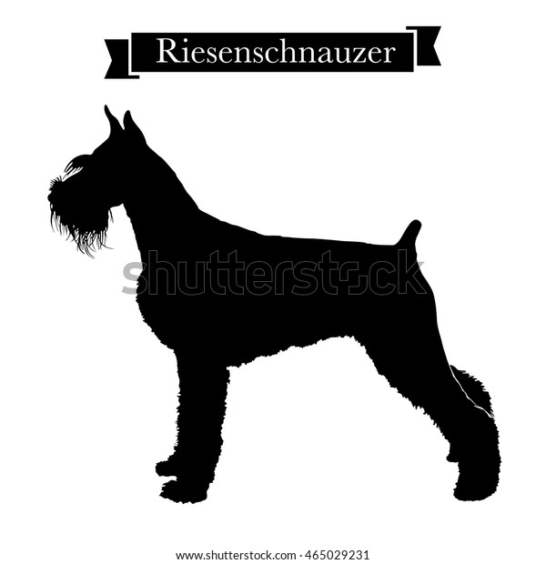 Dog Breeds Purebred Riesenschnauzer Giant Schnauzer Stock Vector ...