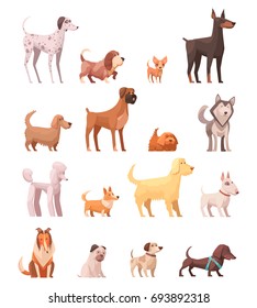 Dog breeds retro cartoon icons collection with husky poedel collie shepherd and dachshund dog isolated vector illustration 