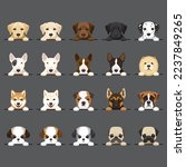 Dog Breeds set 20 Types Puppy Portrait Vector Illustration Image