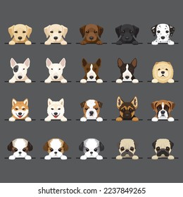 Dog Breeds set 20 Types Puppy Portrait Vector Illustration Image