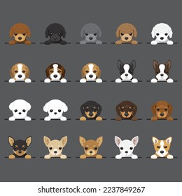 Dog Breeds set 20 Types Puppy Portrait Vector Illustration Image