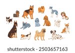 Dog breeds set. Cute flat illustration in cartoon style on white background. Doberman, chihuahua, yorkshire, jack russell, shar pei, dalmatian, cocker spaniel, shih tzu and other pets in vector