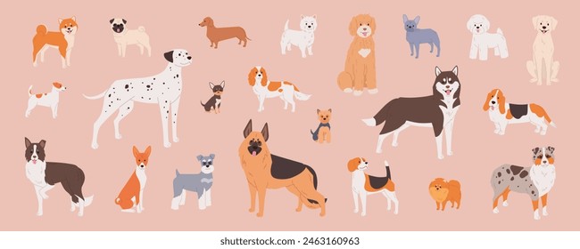 Dog breeds set. Cute flat illustration in cartoon style on pink background. Border collie, dachshund, french bulldog, labradoodle and other purebred pets in vector