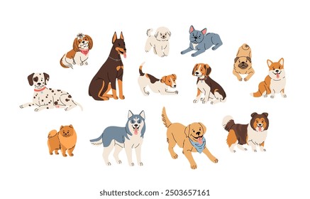 Dog breeds set. Cute flat illustration in cartoon style on white background. Dalmatian, shih tzu, beagle, sheltie, husky, labrador, retriever, pomeranian and other pets in vector