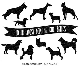 Dog breeds set. Dogs icons. Dog breeds silhouette. The most popular dog breeds with carton/space effect.