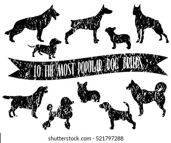 Dog breeds set. Dogs icons. Dog breeds silhouette. The most popular dog breeds with crumpled paper effect.